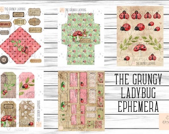 May include: A digital paper pack with a grunge aesthetic featuring ladybugs, flowers, and mushrooms. The pack includes envelopes, tags, and other decorative elements. The text "The Grungy Ladybug Ephemera" is featured on the image.