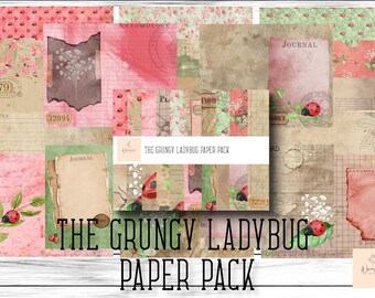May include: A digital paper pack with 16 different designs featuring a vintage aesthetic. The designs include ladybugs, flowers, and text like "Journal" and "Entomology".