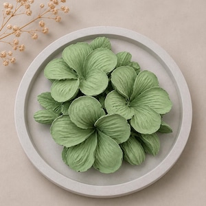 May include: A cluster of sage green, five-petaled flower shapes with a textured, matte finish arranged on a circular, light gray concrete tray. The petals feature visible veining and small surface indentations, creating a layered, organic appearance.