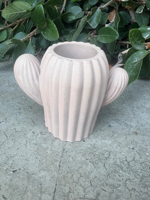 Beton Kakteen/ Kaktus/ Sukkulente/ Wohnkultur/ Vase/ Zement Dekor/  Stiftehalter/ Pflanzer - Etsy.de