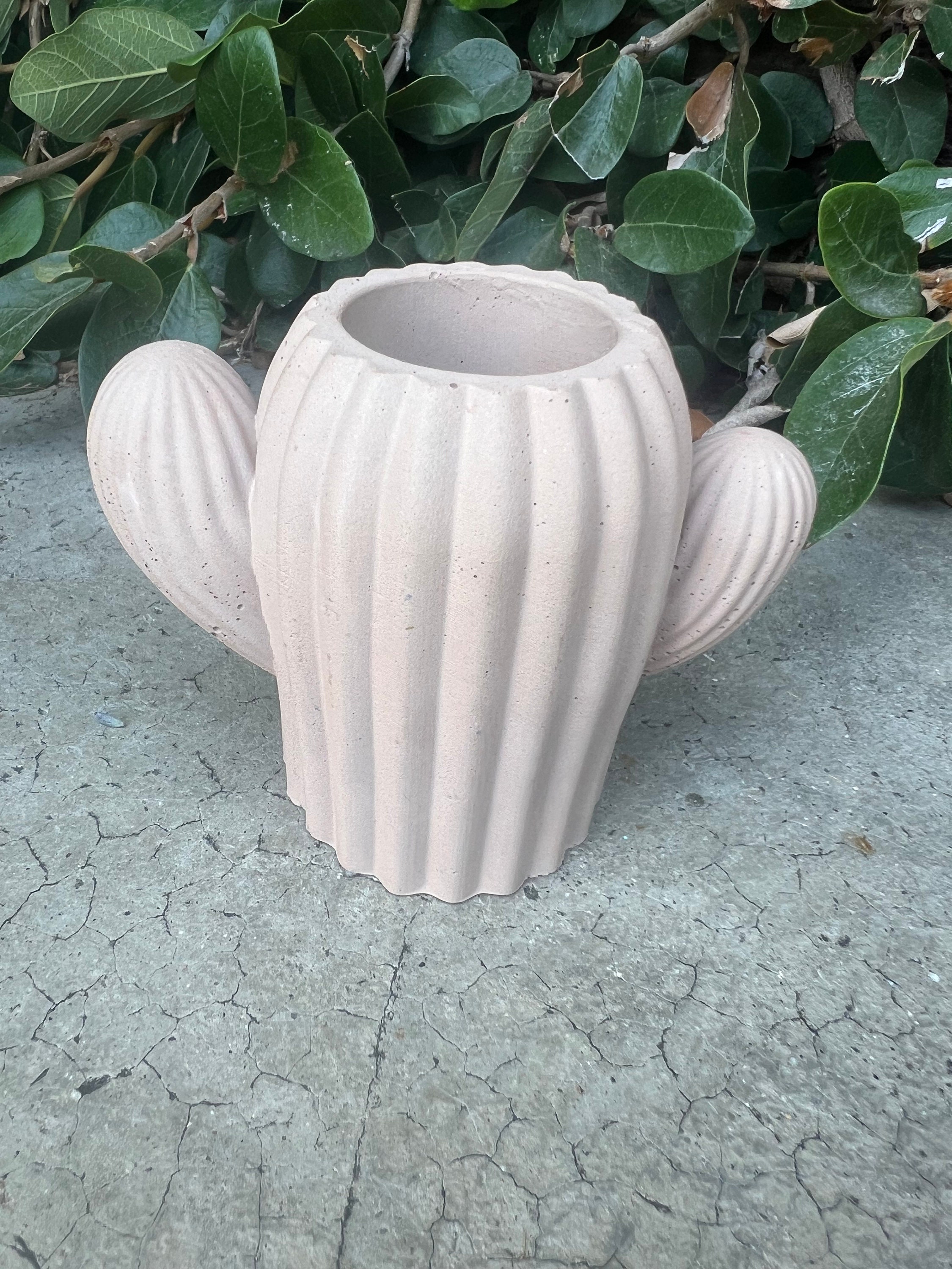Concrete Cacti/ Cactus/ Succulent/ Home Decor/ Vase /Cement Decor/ Pencil Holder / Planter