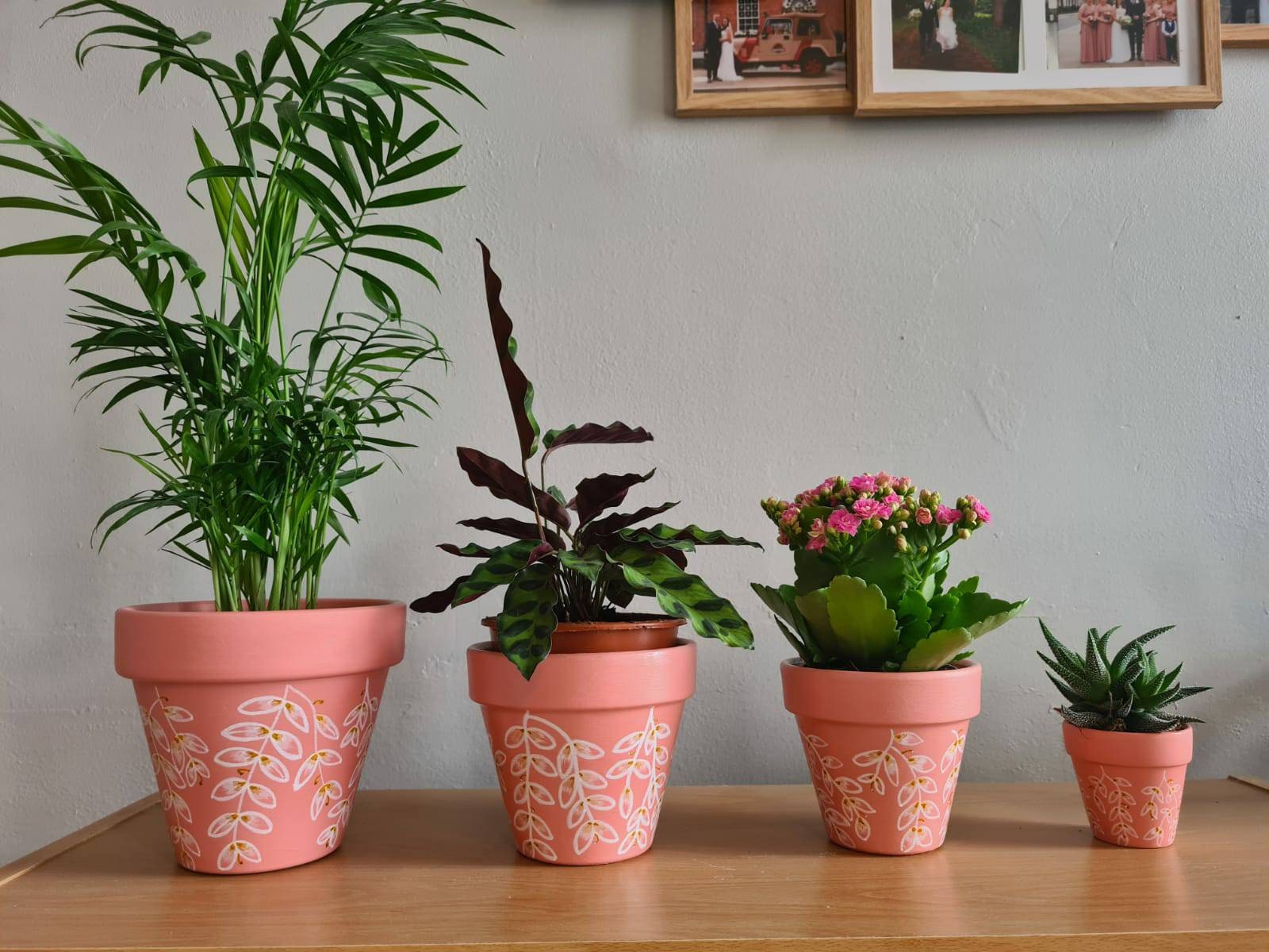 Dusty pink plant pot painted planter Gift 6.5cm 9cm Etsy