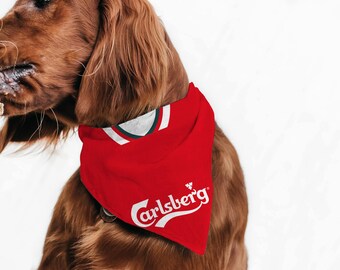 lfc dog collar