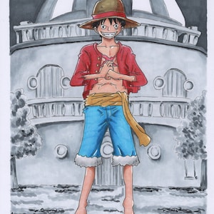 Monkey D. Luffy aka Straw Hat