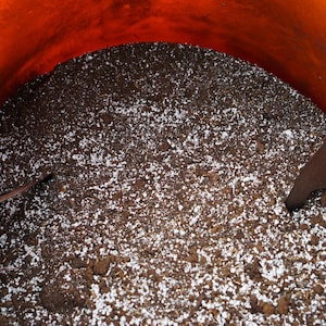 K&ouml;nnte beinhalten: Ein orangefarbener Beh&auml;lter gef&uuml;llt mit dunkelbrauner Erde und wei&szlig;em Perlit. Zwei braune Spaten sind teilweise sichtbar, was auf Garten- oder Pflanzaktivit&auml;ten hindeutet. Die Erde scheint bereit zum Pflanzen zu sein.