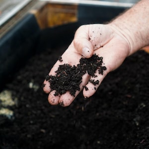 Worm Castings - Organic Plant Fertilizer, 2 & 5 Pounds image 13