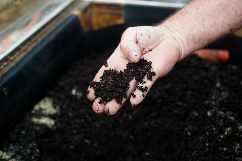 Worm Castings - Organic Plant Fertilizer, 2 & 5 Pounds image 13