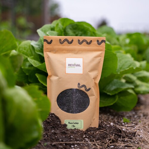 Pure Earth Worm Castings Natural Fertilizer 1 or 3 LB Bag Etsy