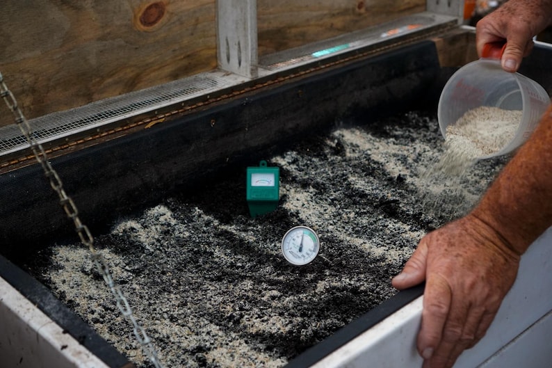 A worm bin that is being monitored for temperature and moisture. A hand is applying worm feed and grit to the worm bin showcasing the diet the worms receive.