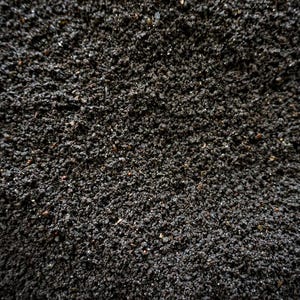 close up of screened black worm castings, very high quality fertilizer.