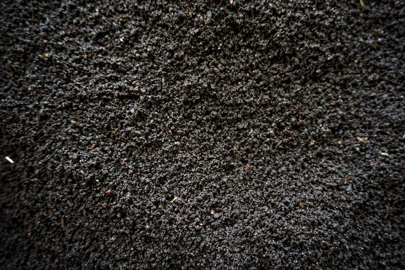 close up of screened black worm castings, very high quality fertilizer.