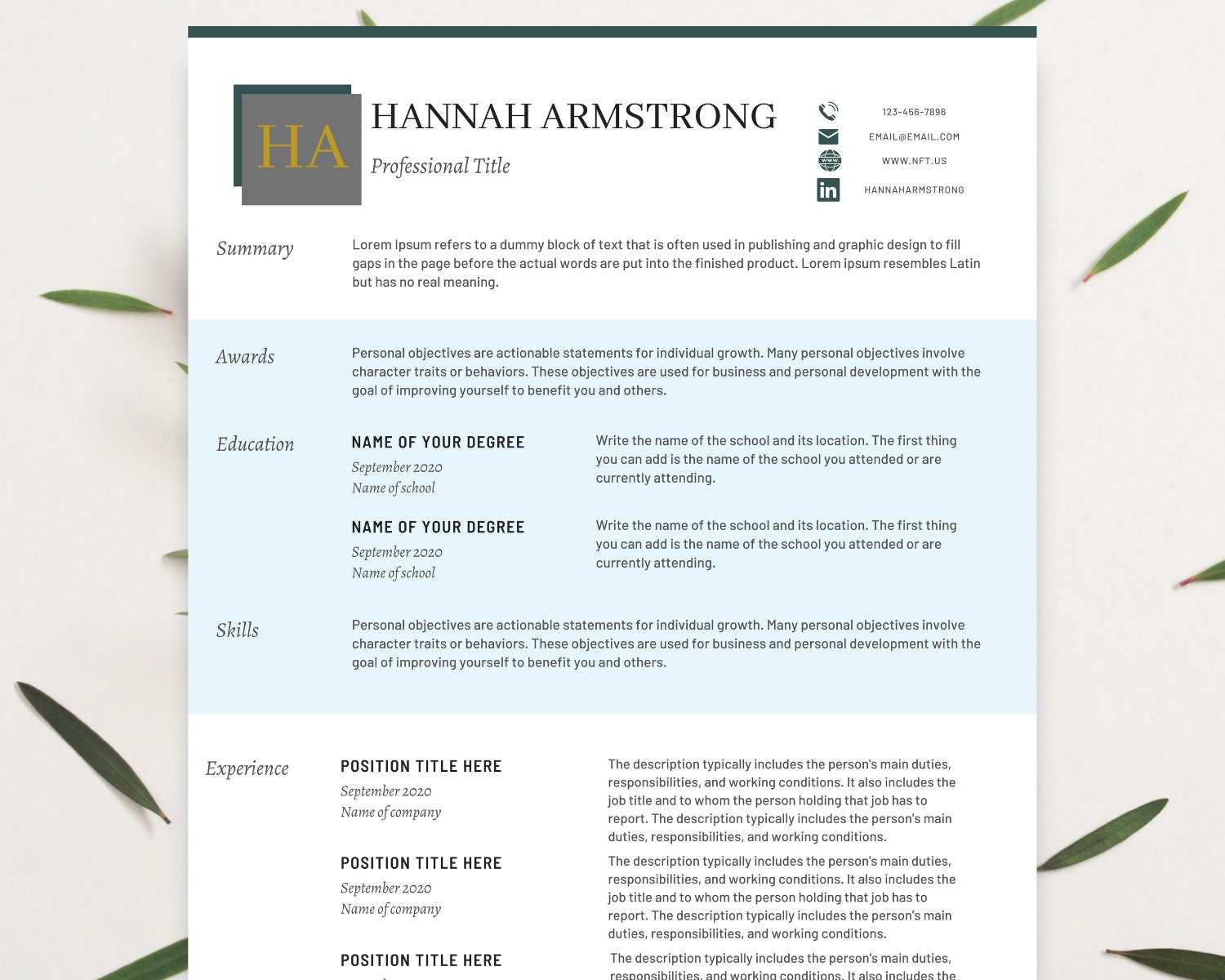 Modern Executive Resume Template 2022 CEO Resume Template for Canva ...