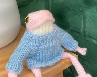 Knitted Frogs, handknitted frog in a jumper, Cute gift lucky frog in a sweater gift for frog lovers Handknitted frog in a cosy sweater.