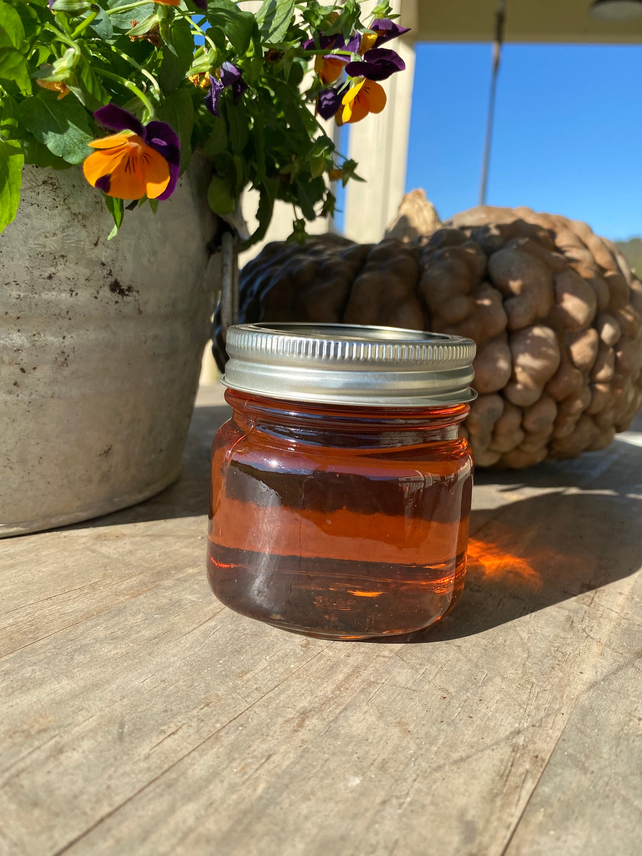 Sunflower Jelly Etsy