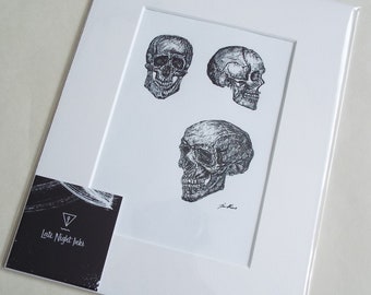 ORIGINAL ART - Anatomical study IV: the human skull