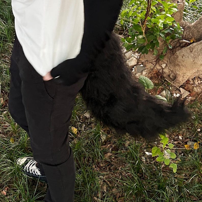 May include: A person wearing black pants and a white shirt with a black furry tail attached to the back of their waist.