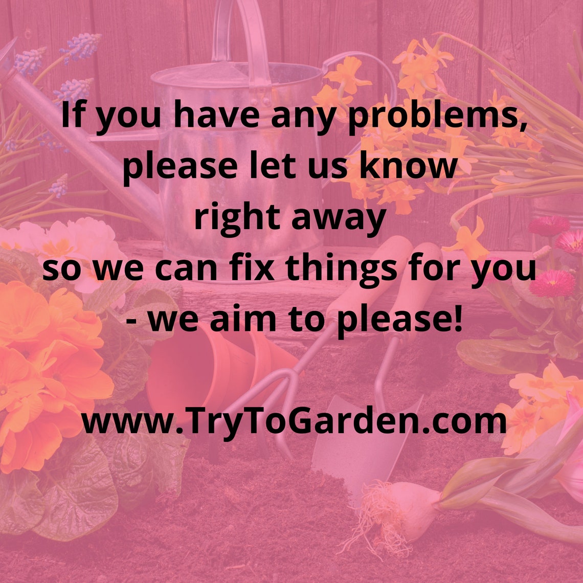 Lil' Gardener Letter Mix up Worksheet Digital Download Etsy Canada