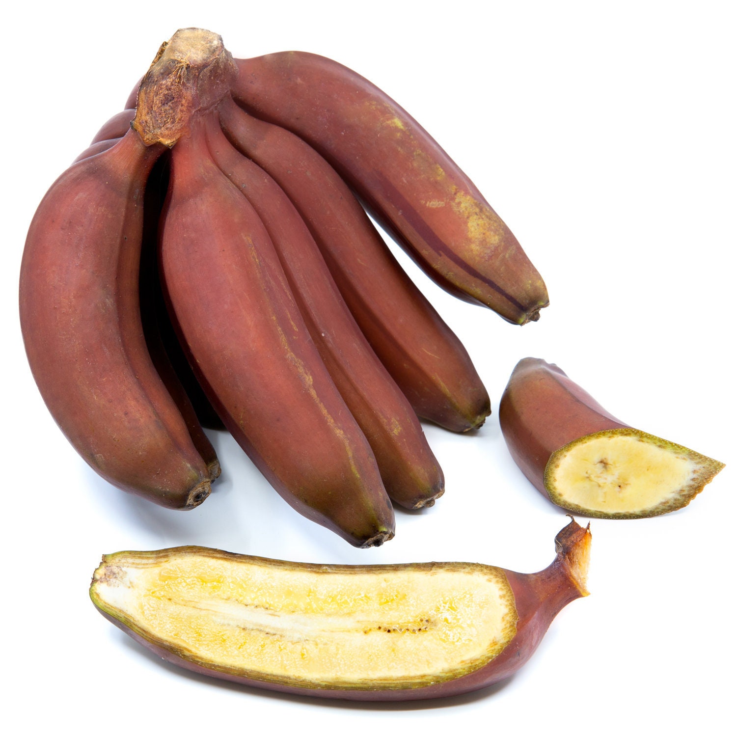 Congo Banana Plantain Rojo 4 9lbs Fruta Entera Etsy