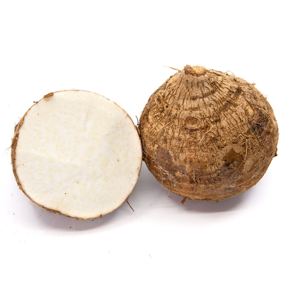 Congo Malanga Eddoe yautia Eddo 7 15 Lbs Whole Etsy