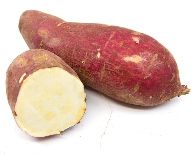 Murasaki Japanese Sweet Potato Korean Best Medium Raw Yams Malanga