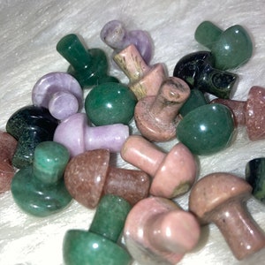 Surprise Crystal Mushroom | Randomly Selected Mushroom Crystal