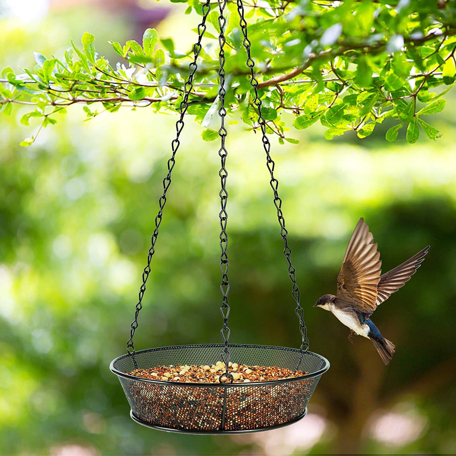 Hanging Bird Feeder Tray Metal Mesh Seed Tray for Bird Etsy