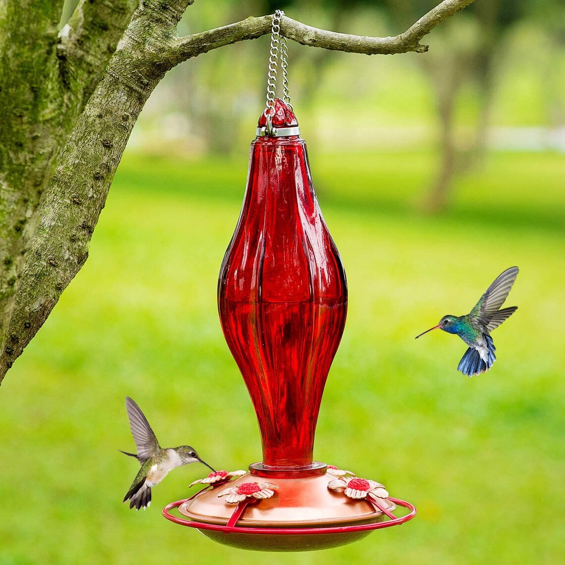 Glass Hummingbird Feeder. Red Glass Bird Feeder13 Ounces Etsy