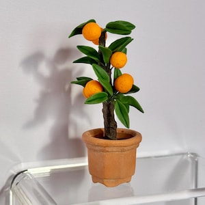 May include: A small orange tree in a terracotta pot. The tree features a brown trunk, green leaves, and several bright orange fruits. The pot is square with a slightly textured surface. The tree is displayed on a clear glass shelf.