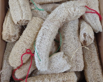 Exfoliantes corporales de luffa orgánica