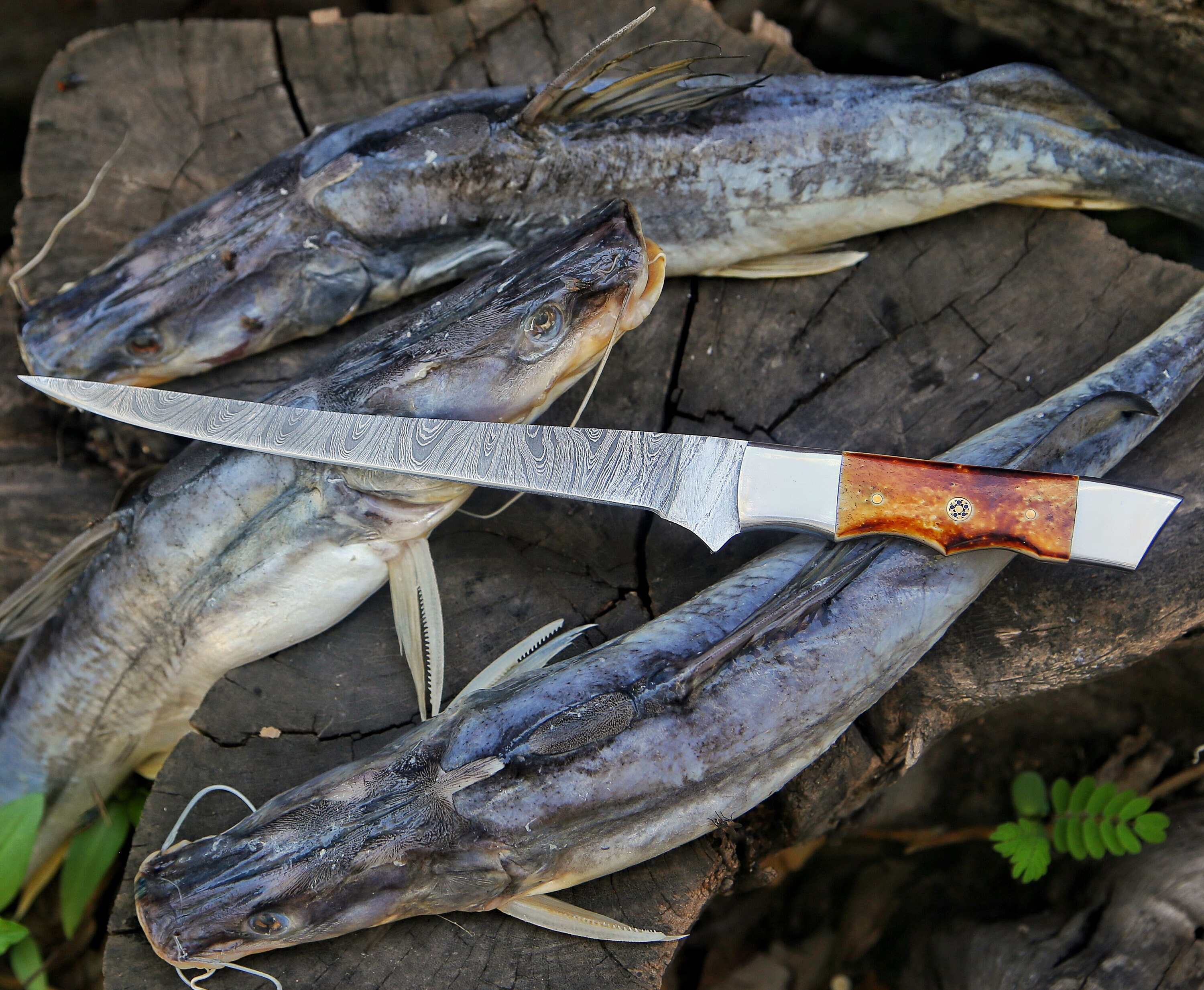 Camel Filet Custom Handmade Damascus Steel Fishing Fillet Knife With Camel Bone and ...