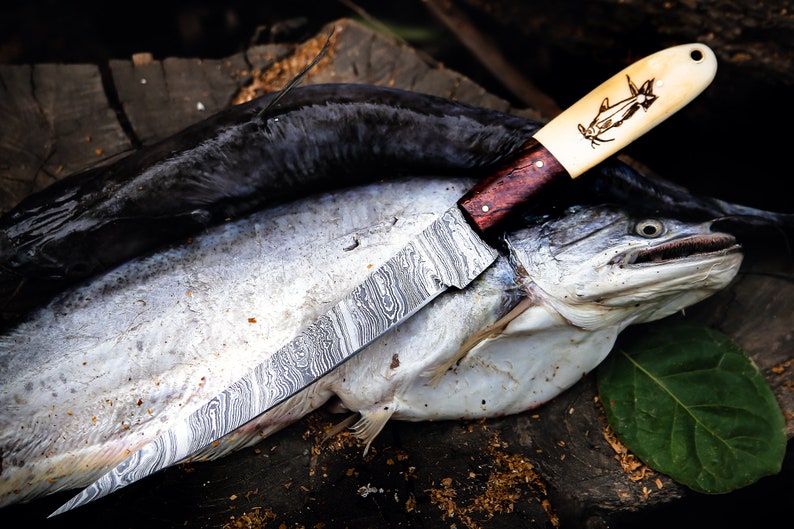 May include: A Damascus steel knife with a wooden handle and a bone handle with a carved catfish design. The knife is resting on top of a catfish.