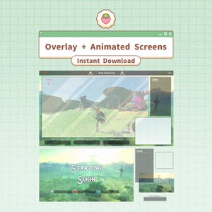 De legende van Zelda | Twitch YouTube-streamoverlay + geanimeerde schermen / Breath of the Wild / Aanpasbaar