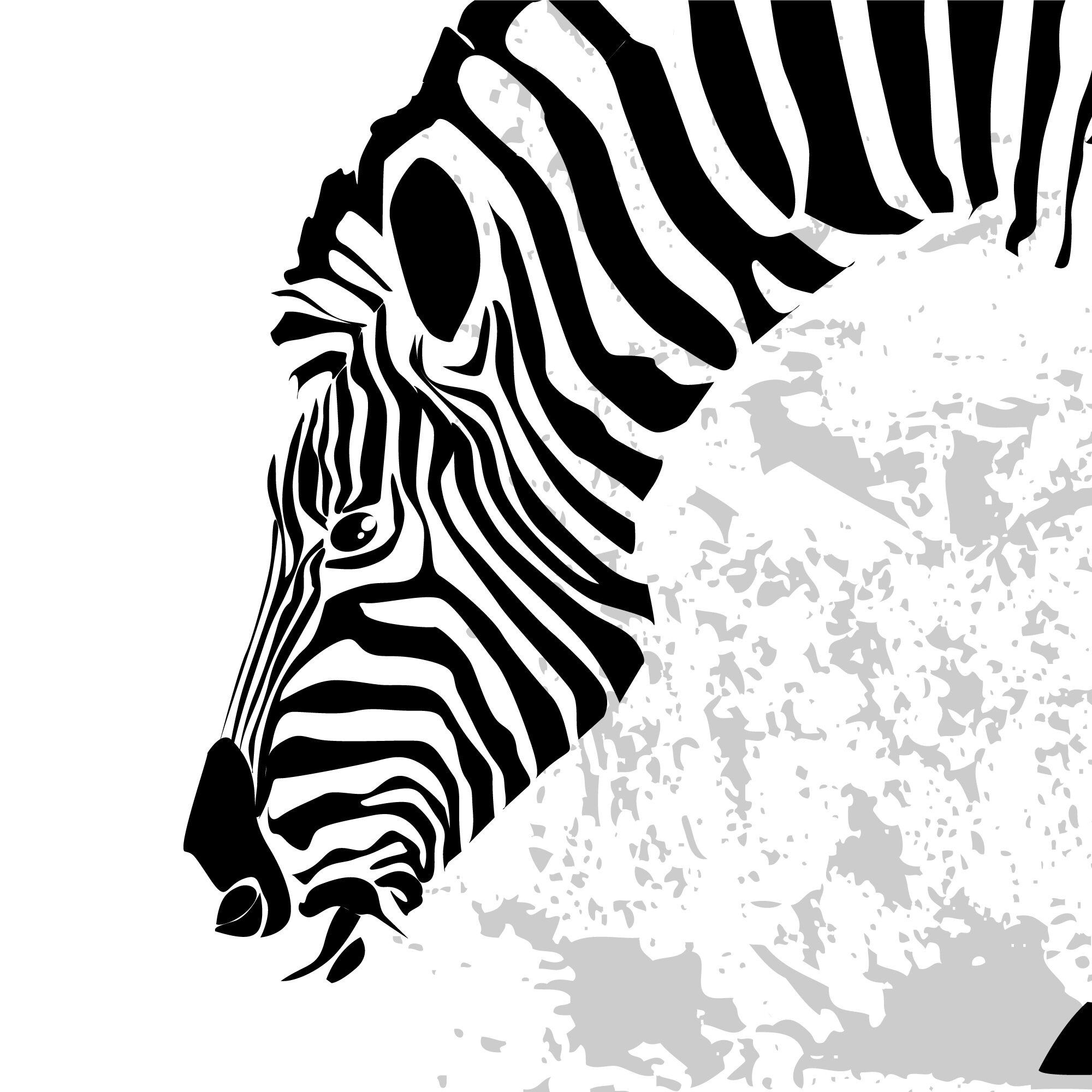 Zebra Printable, Black and White, Animal Art, Zebra Print, Zebra Art