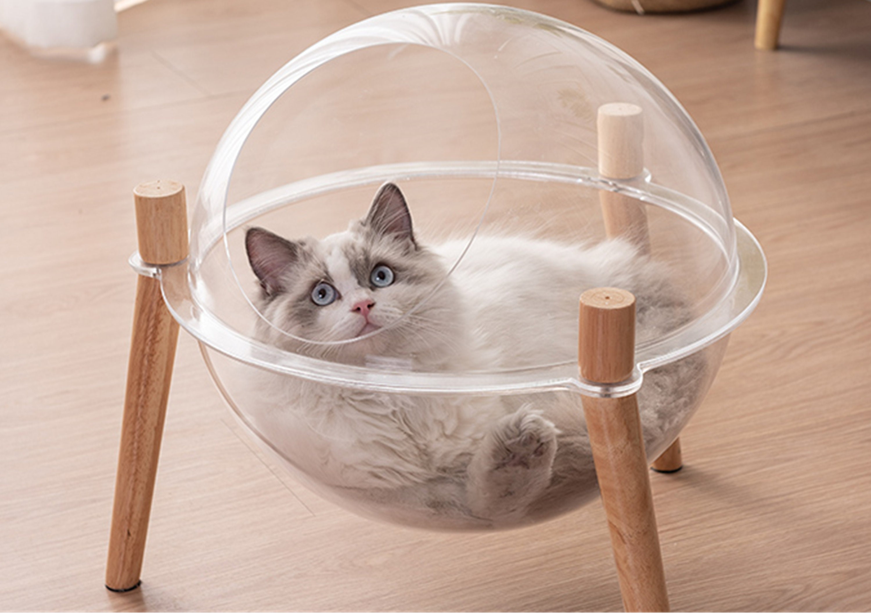 Capsule Cat Bed Cat Condos Perch Bed Okayseason Cat House Etsy