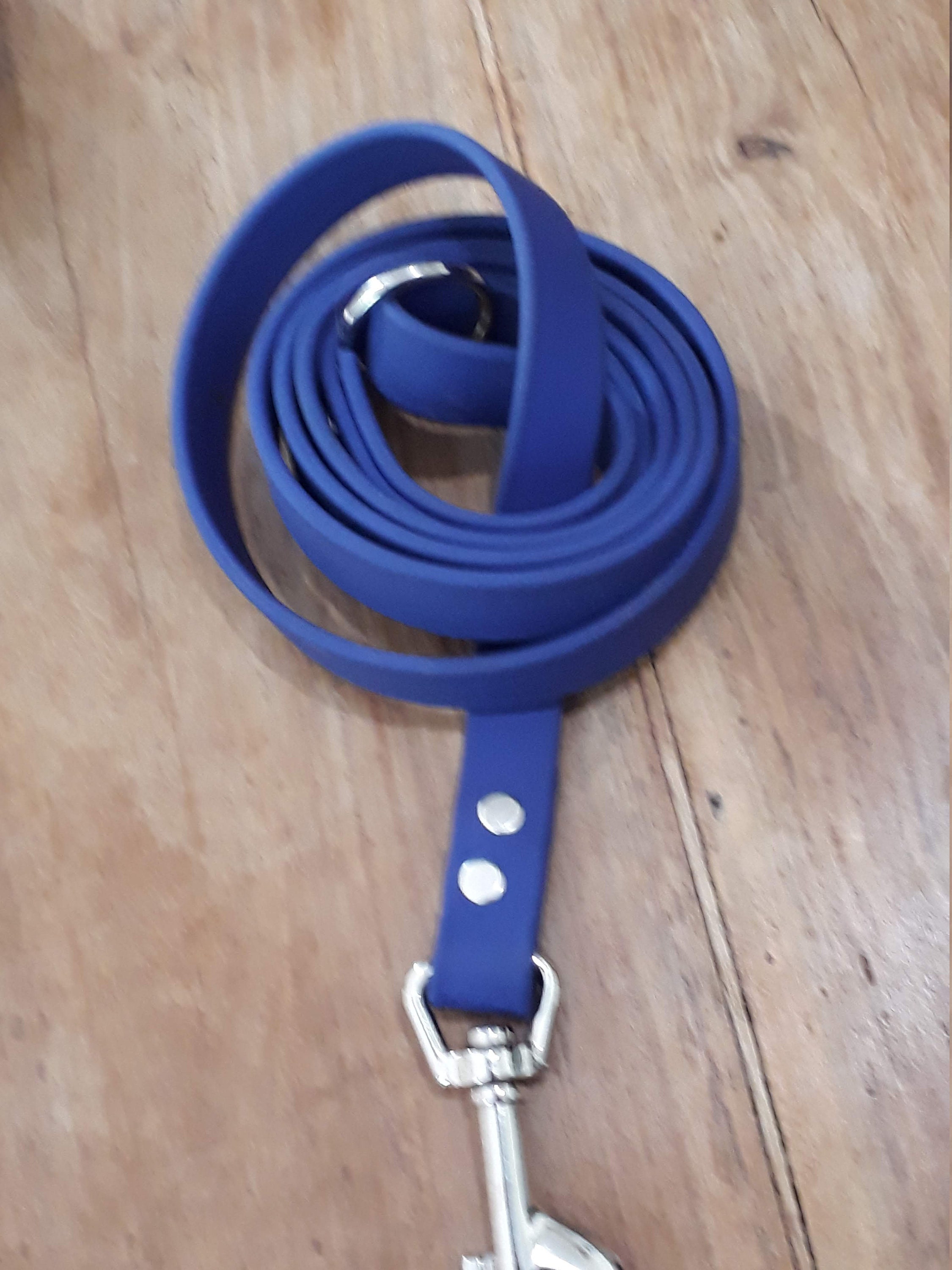 BioThane dog lead Etsy