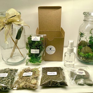 Moss Terrarium Kit | Jungle in a Jar