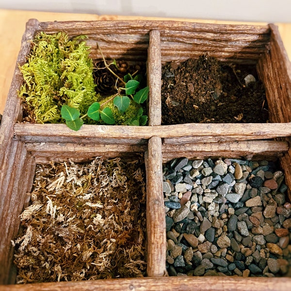 Moss Terrarium Etsy