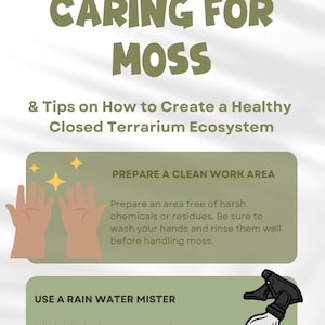May include: A green and white infographic with the text "Caring for Moss & Tips on How to Create a Healthy Closed Terrarium Ecosystem". The infographic includes two sections: "Prepare a Clean Work Area" and "Use a Rain Water Mister". The first section shows a pair of hands washing with soap and water. The second section shows a spray bottle with a white bottle and a black spray nozzle.