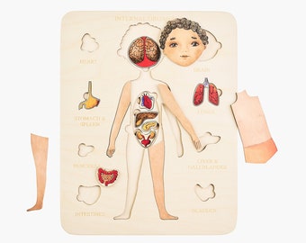 Preschool anatomy. Wood puzzle human body. Anatomy poster. Montessori toys 3, 4,5 year old. Sensory toys. Unique toddler gifts