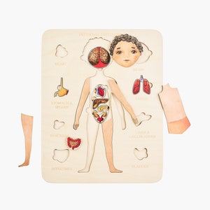 Anatomía preescolar. Rompecabezas de madera del cuerpo humano. Cartel de anatomía. Juguetes montessori 3, 4,5 años. Juguetes sensoriales. Regalos únicos para niños pequeños