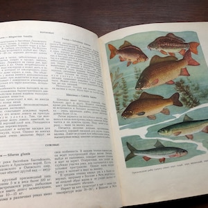 Sehr selten, Vintage, Fisherman es Sportsman es Handbook, Vintage Angelbuch, 1960, Fisch Illustration, Sportfischen, Angeln Kunstdruck