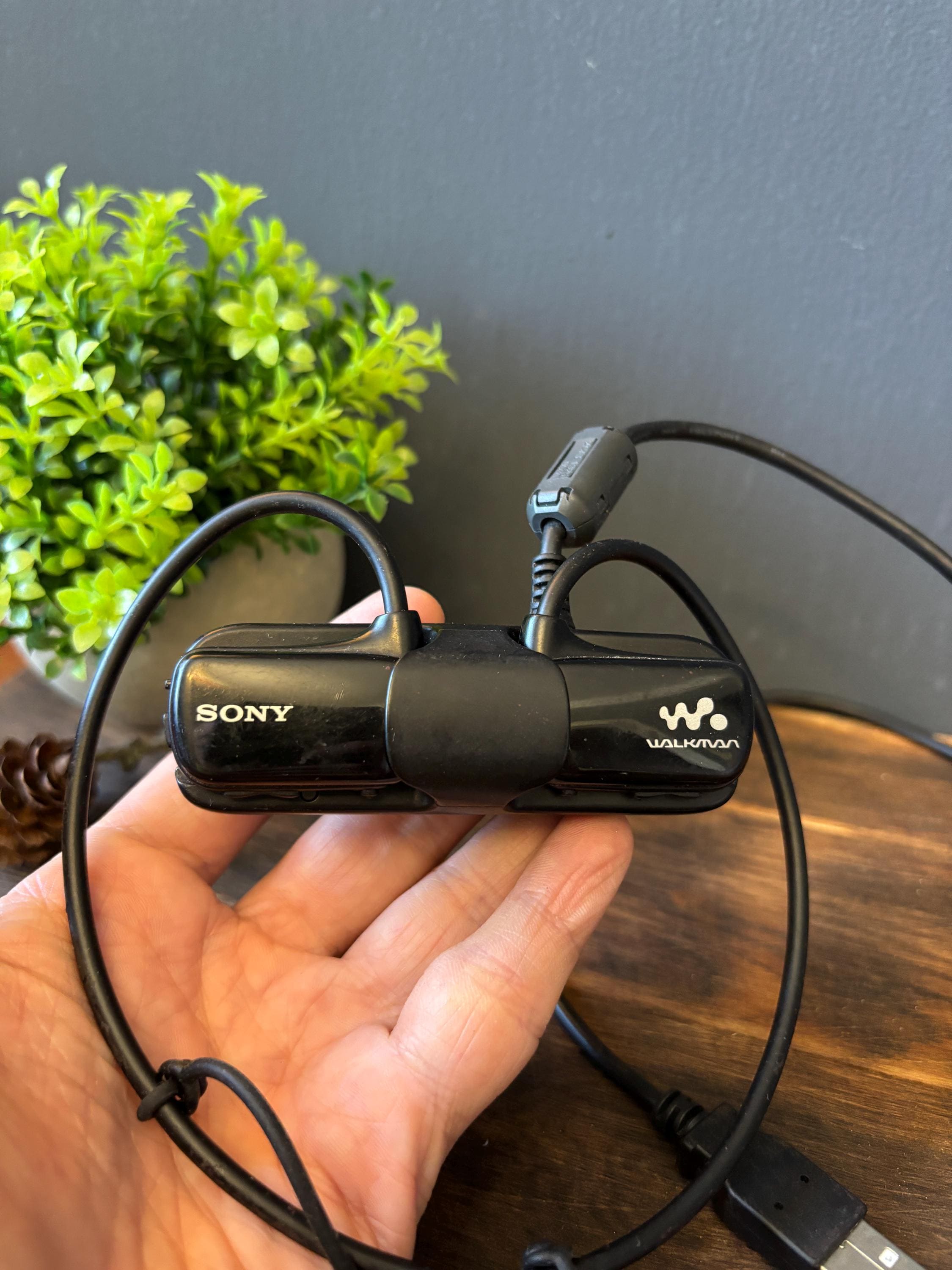 Sony walkman mp3 player - Etsy 日本
