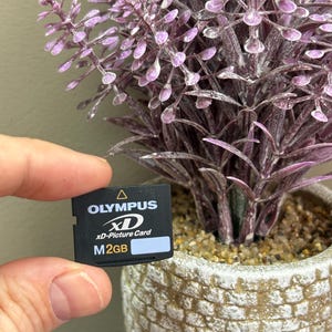 May include: A white ceramic mug with a black handle and the text "But First, Coffee" in a black, bold font. The mug is on a white surface.