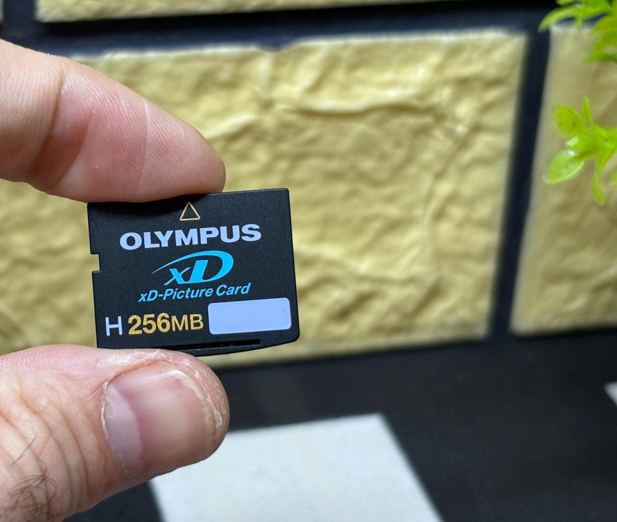Working, Original, Memory Card Olympus Xd-picture Card, Digital