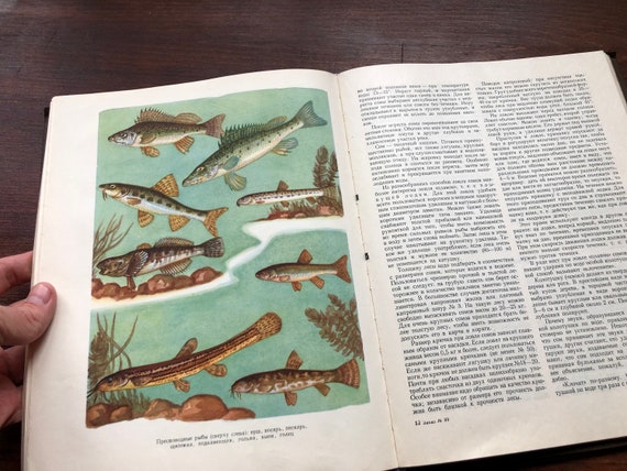 Catalogue De Pêche Hardy 1969 - Guide De L'Angler - Vintage