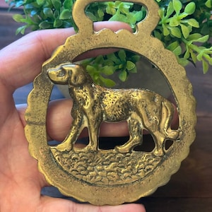 May include: A vintage brass horse brass featuring a detailed relief of a dog within a scalloped circular frame. The dog is depicted in a standing pose. The brass has a loop at the top for hanging and shows signs of age and wear.
