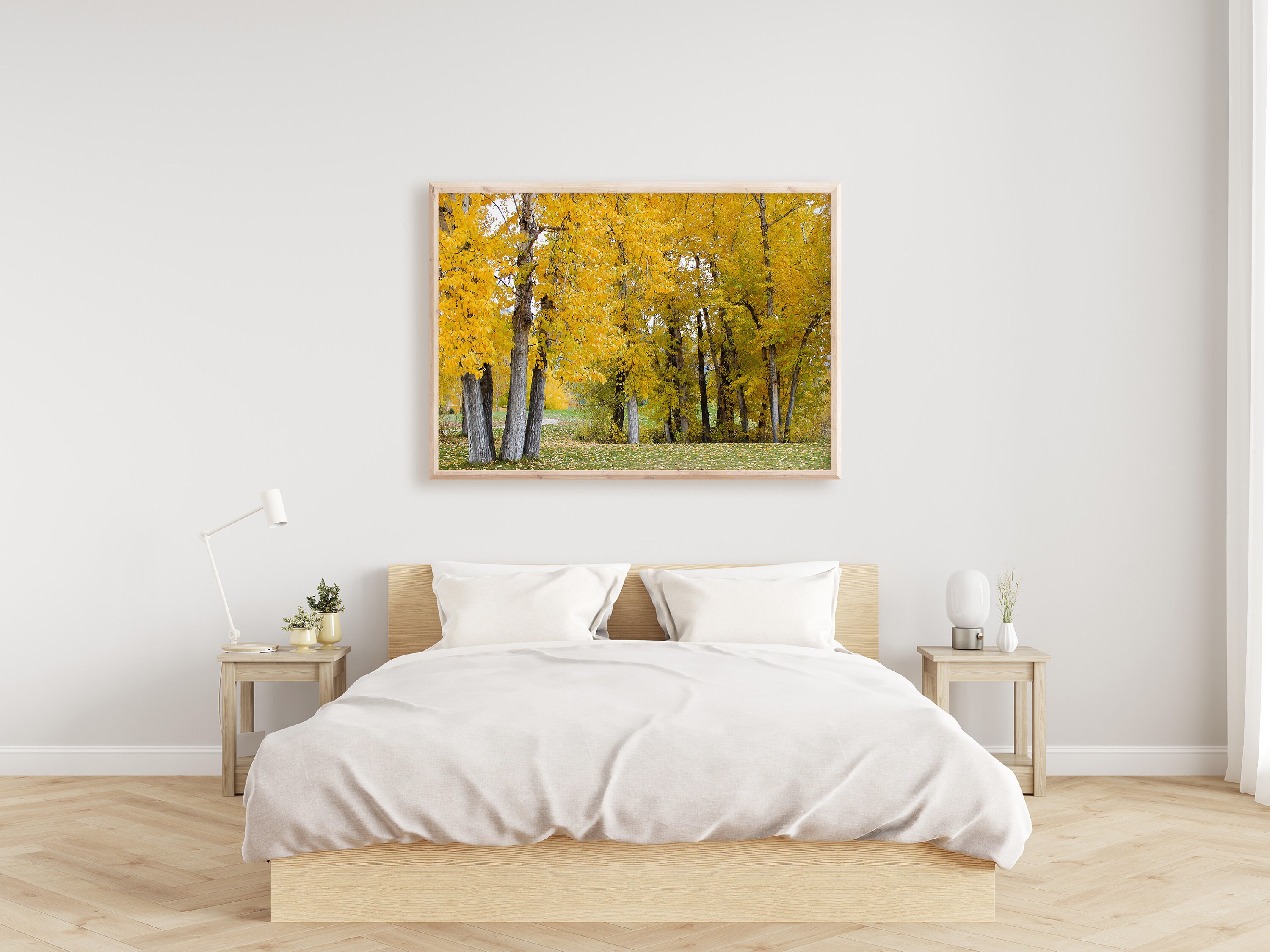 Printable Wall Art Yellow Trees in Fall Digital Photography Etsy