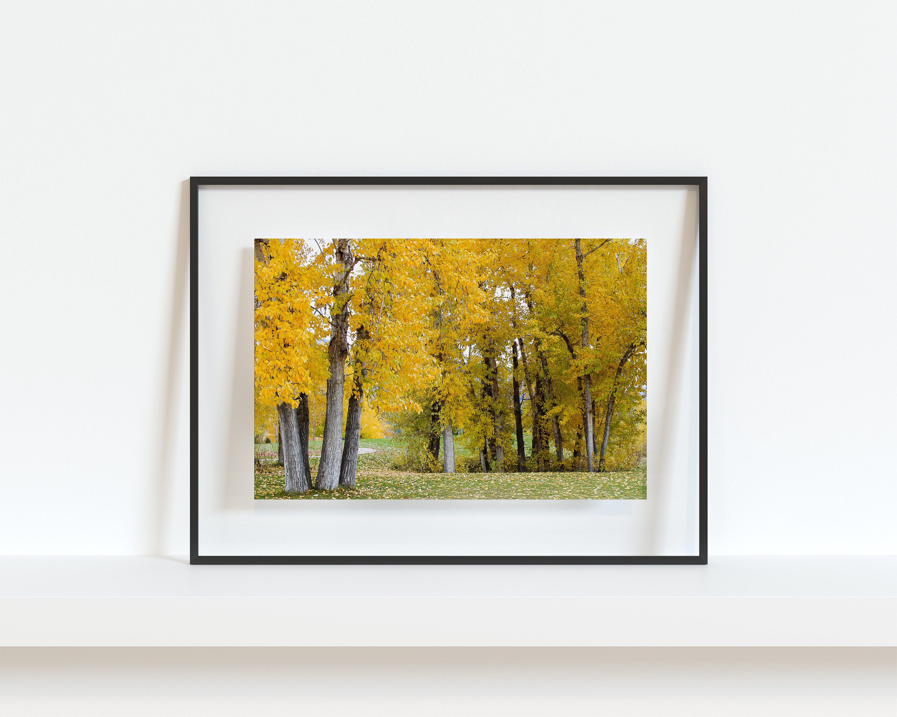 Printable Wall Art Yellow Trees in Fall Digital Photography Etsy