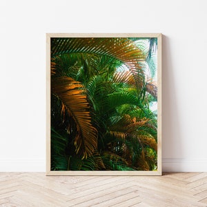 Palm leaves at the Botanical Garden in Penang Malaysia, Printable Wall Art, Digital Photography for Print, High Resolution Image