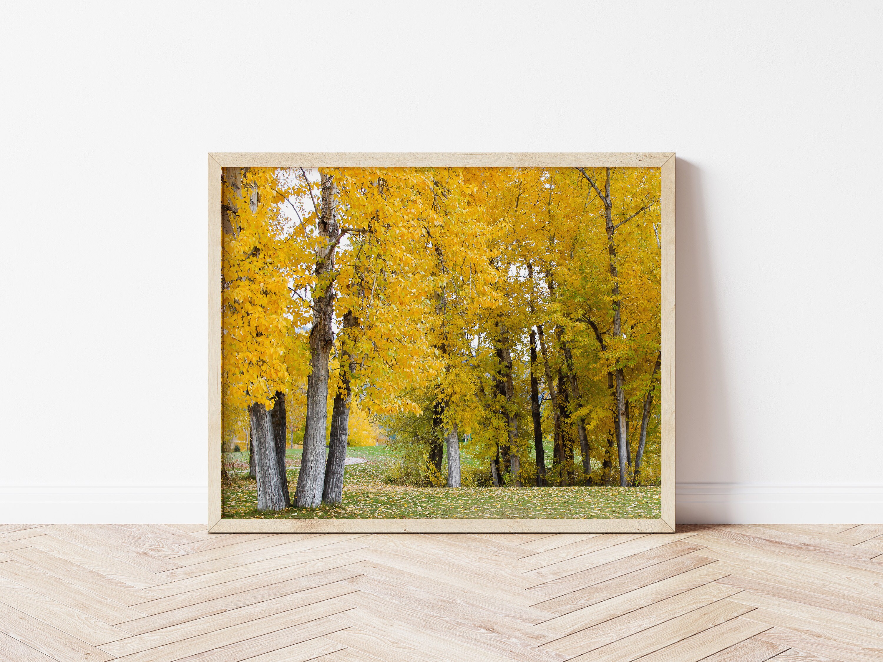 Printable Wall Art Yellow Trees in Fall Digital Photography Etsy Nederland